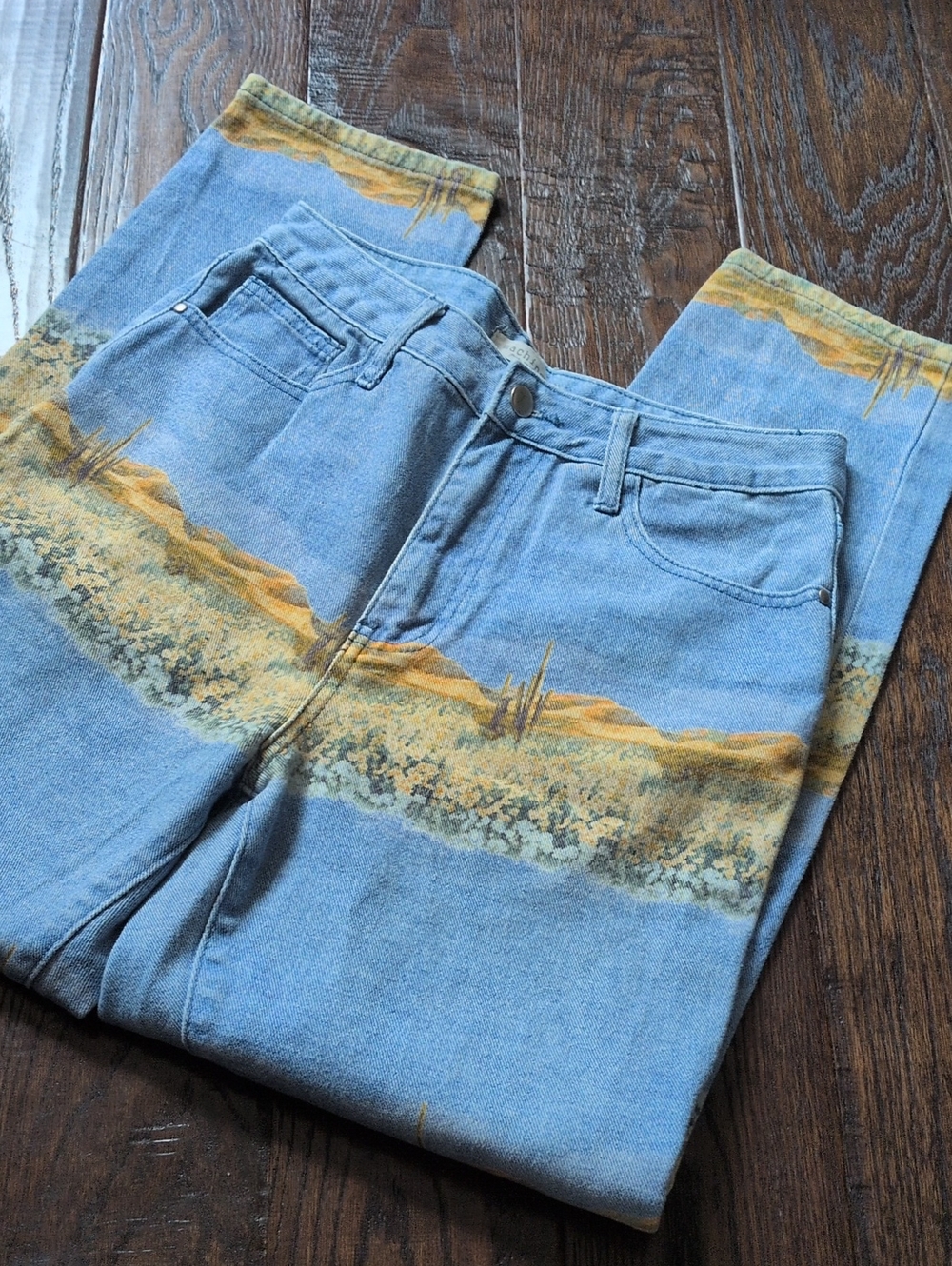 MACHINE I Light Blue Denim Jeans with Desert Cactus Landscape Scene Print, 30/9